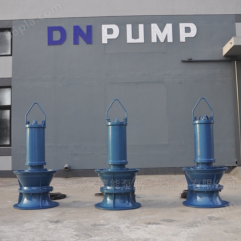 天津潜水轴流泵厂家供应 德能泵业