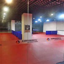 小型乒乓球场运动地板 红布纹运动塑胶地板