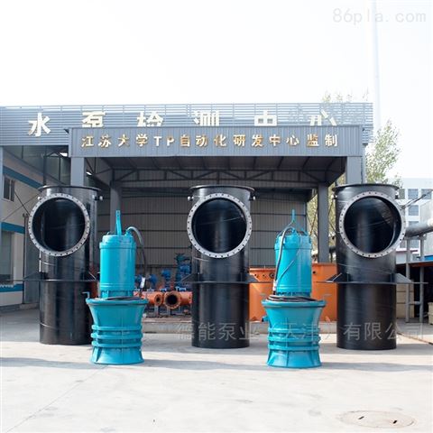 立式排污泵-高扬程潜水轴流泵
