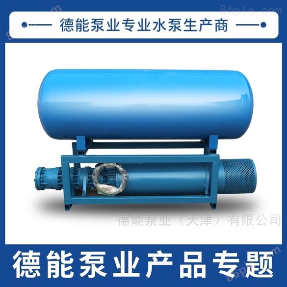浮筒泵安装形式