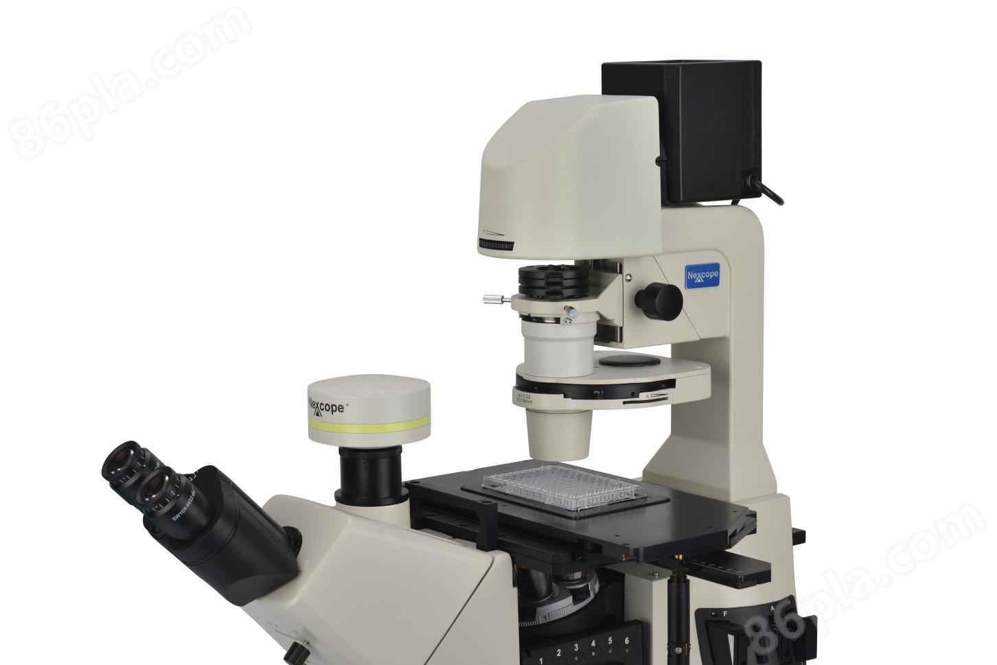 NIB900-FL倒置荧光显微镜(图4)