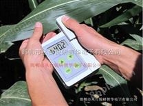 植物生理监测叶绿素仪