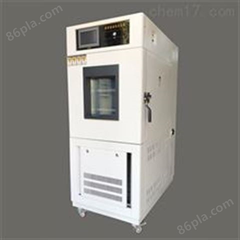 DHS-100低温恒定湿热试验箱