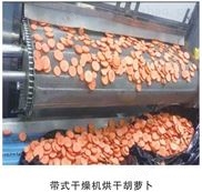 天津热泵三层带式干燥机组