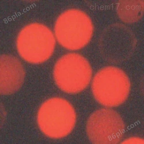 微球铕螯合荧光微粒公司